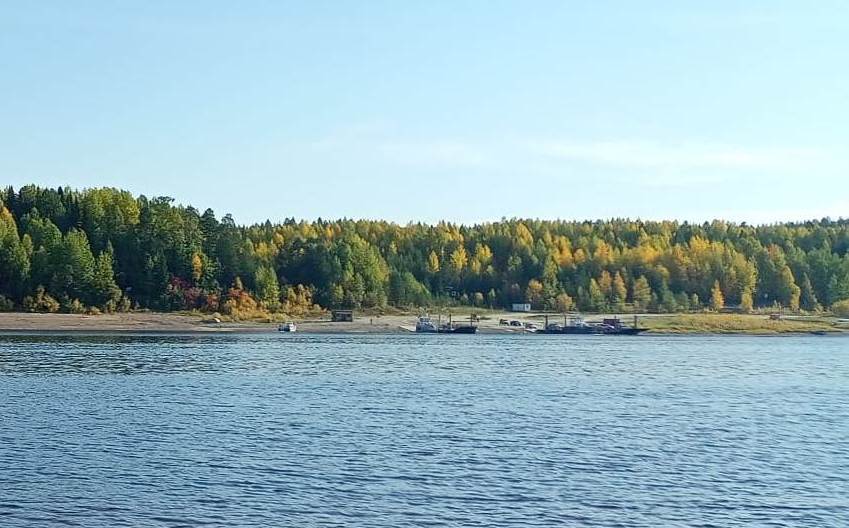 kyrya